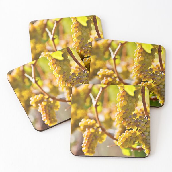 Item preview, Organic Ripe Chardonnay Grapes Okanagan Valley Vineyard designed and sold by Kevin Miller Photography.