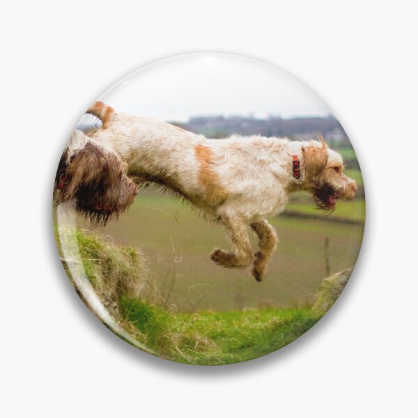 Item preview, Leaping off a Long Barrow Spinoni by heidiannemorris designed and sold by FOLK ART FUSION by heidiannemorris.