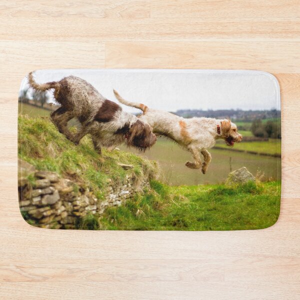 Item preview, Leaping off a Long Barrow Spinoni by heidiannemorris designed and sold by FOLK ART FUSION by heidiannemorris.