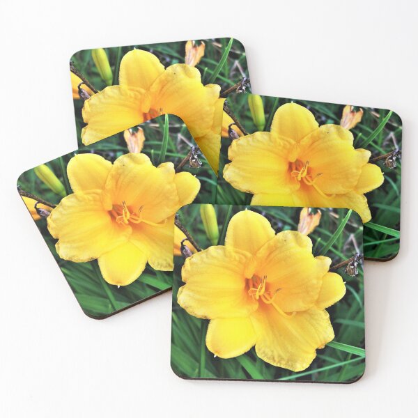 Item preview, Day Lily designed and sold by CJGrimes.