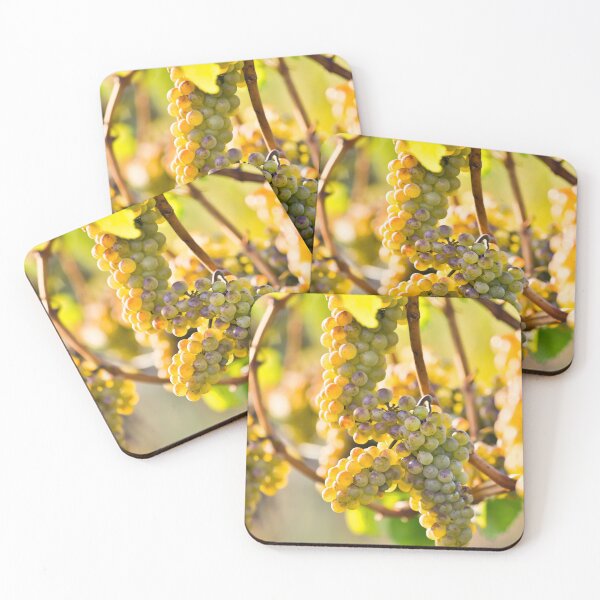 Item preview, Organic Ripe Chardonnay Grapes Okanagan Valley Vineyard designed and sold by Kevin Miller Photography.