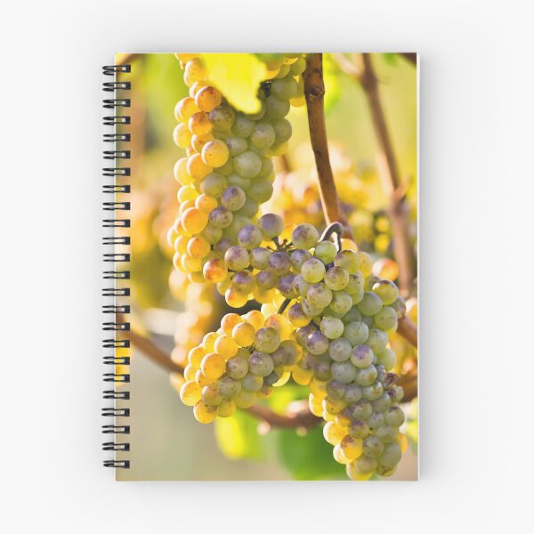 Item preview, Organic Ripe Chardonnay Grapes Okanagan Valley Vineyard designed and sold by Kevin Miller Photography.