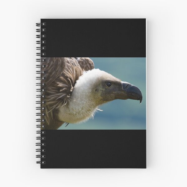 Item preview, Vulture designed and sold by Stuart Robertson Reynolds.