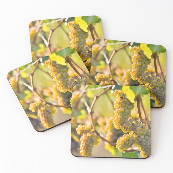 Item preview, Organic Ripe Chardonnay Grapes Okanagan Valley Vineyard designed and sold by Kevin Miller Photography.