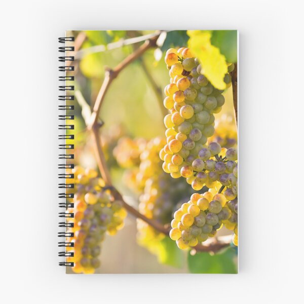 Item preview, Organic Ripe Chardonnay Grapes Okanagan Valley Vineyard designed and sold by Kevin Miller Photography.