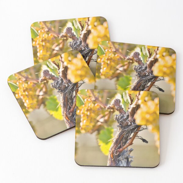 Item preview, Organic Ripe Chardonnay Grapes Okanagan Valley Vineyard designed and sold by Kevin Miller Photography.