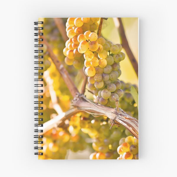 Item preview, Organic Ripe Chardonnay Grapes Okanagan Valley Vineyard designed and sold by Kevin Miller Photography.