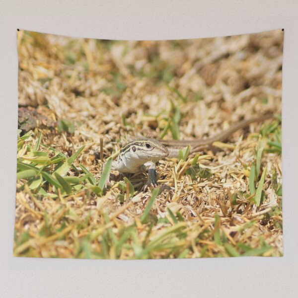 Item preview, Lizard designed and sold by Wooloowoo.