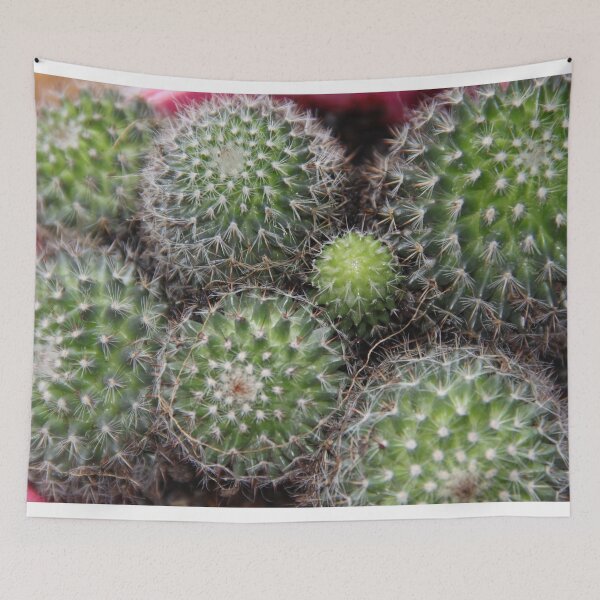 Item preview, Cute spiky cactus succulent houseplant	 designed and sold by EstelleRossetti.