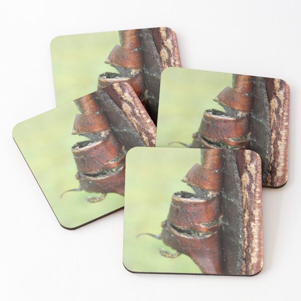 Item preview, Cicatrization healing of a tree trunk	 designed and sold by EstelleRossetti.