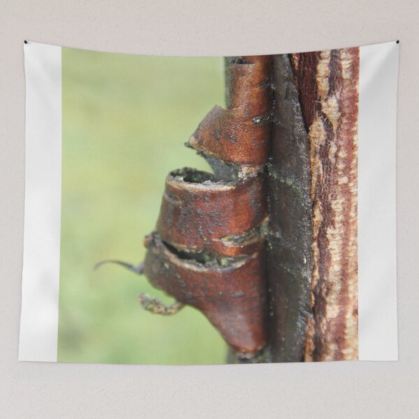Item preview, Cicatrization healing of a tree trunk	 designed and sold by EstelleRossetti.
