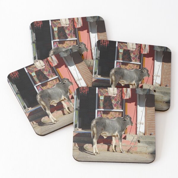 Item preview, Cow outside a shop in Mandawa in Rajasthan India designed and sold by cuisinecat2.