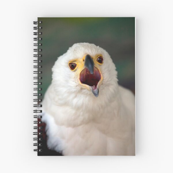 Item preview, African Fish Eagle designed and sold by Stuart Robertson Reynolds.