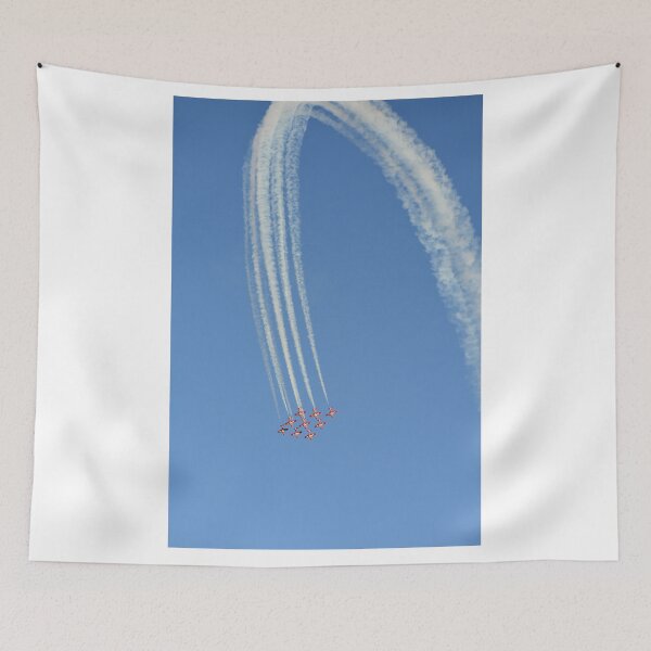Item preview, Snowbirds in Freefall II - Hillsboro, OR designed and sold by CascadeArts.
