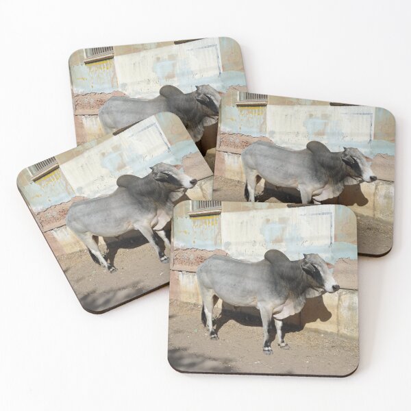 Item preview, Cow outside a haveli in Mandawa in Rajasthan India designed and sold by cuisinecat2.