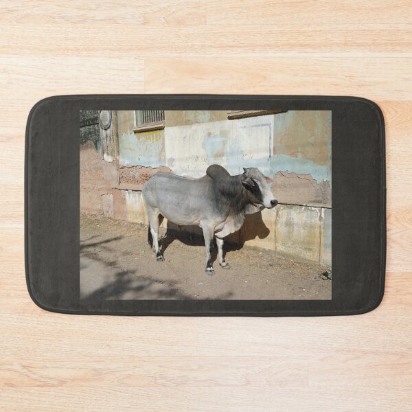 Item preview, Cow outside a haveli in Mandawa in Rajasthan India designed and sold by cuisinecat2.