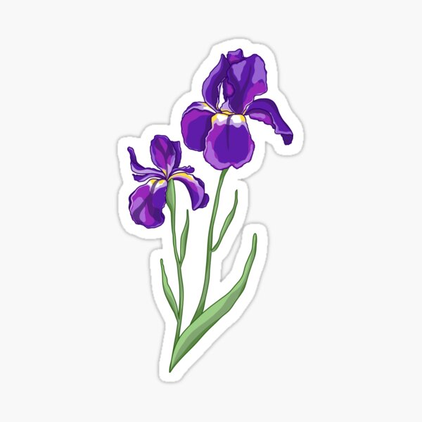Purple Iris Sticker