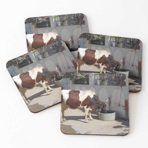 Item preview, Cow drinking outside a haveli in Mandawa in Rajasthan India designed and sold by cuisinecat2.