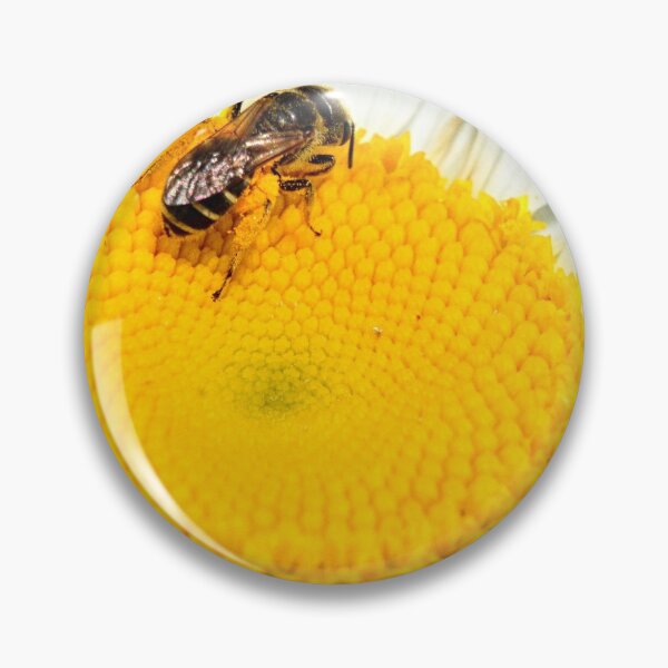 Item preview, Shasta Daisy And Bee designed and sold by LisaWootenPhoto.