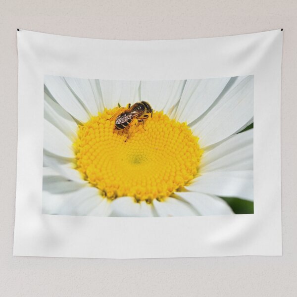 Item preview, Shasta Daisy And Bee designed and sold by LisaWootenPhoto.