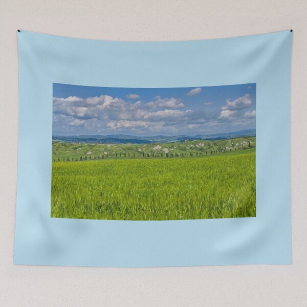 Item preview, Tuscan vineyards in spring designed and sold by Photopat.