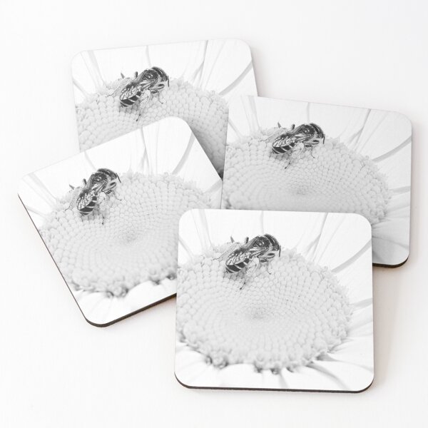 Item preview, Black And White Shasta Daisy And Bee designed and sold by LisaWootenPhoto.