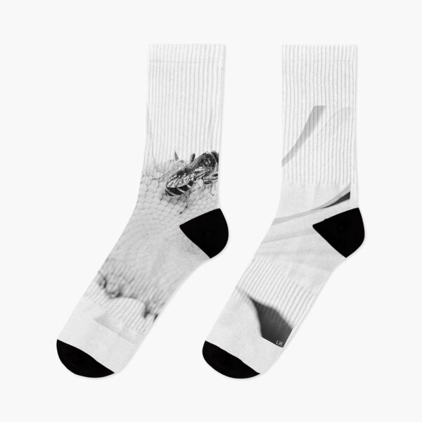 Item preview, Black And White Shasta Daisy And Bee designed and sold by LisaWootenPhoto.