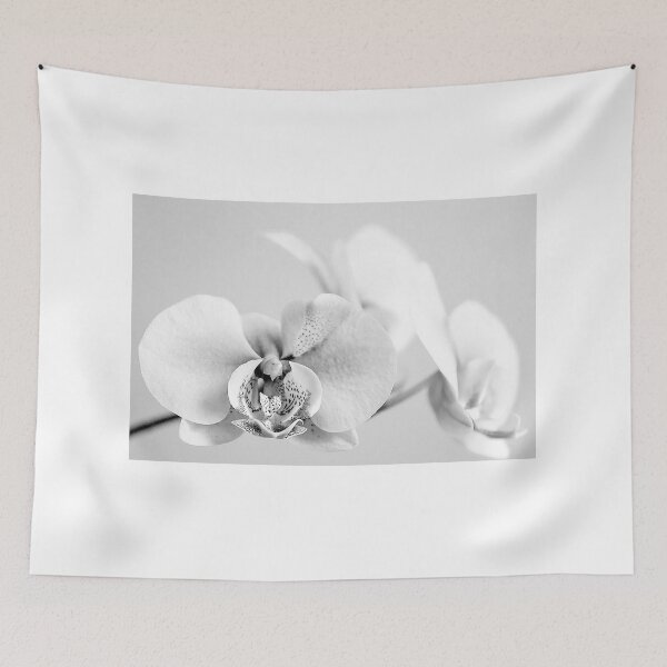 Item preview, Black & White Orchids designed and sold by AloraLeal.