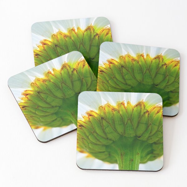 Item preview, Behind The Scenes Of A Shasta Daisy designed and sold by LisaWootenPhoto.