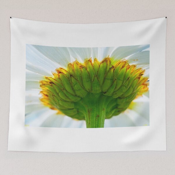 Item preview, Behind The Scenes Of A Shasta Daisy designed and sold by LisaWootenPhoto.