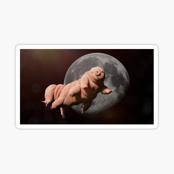 Item preview, tardigrade, water bear in outer space designed and sold by DottedYeti.
