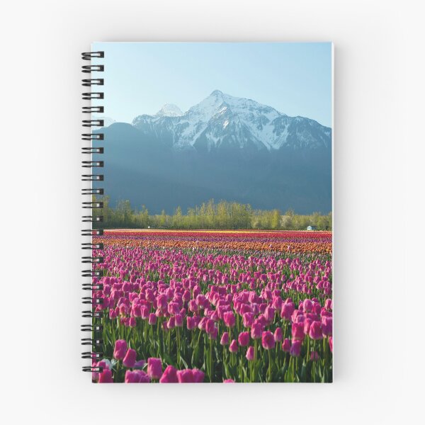 Item preview, Cultivated Tulip Field Fraser Valley British Columbia designed and sold by Kevin Miller Photography.
