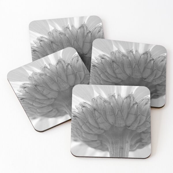 Item preview, Behind The Scenes Of A Shasta Daisy Black And White designed and sold by LisaWootenPhoto.