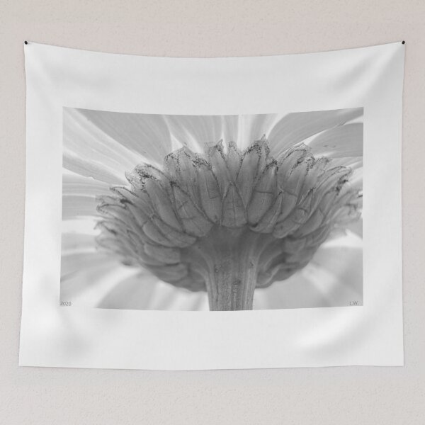 Item preview, Behind The Scenes Of A Shasta Daisy Black And White designed and sold by LisaWootenPhoto.