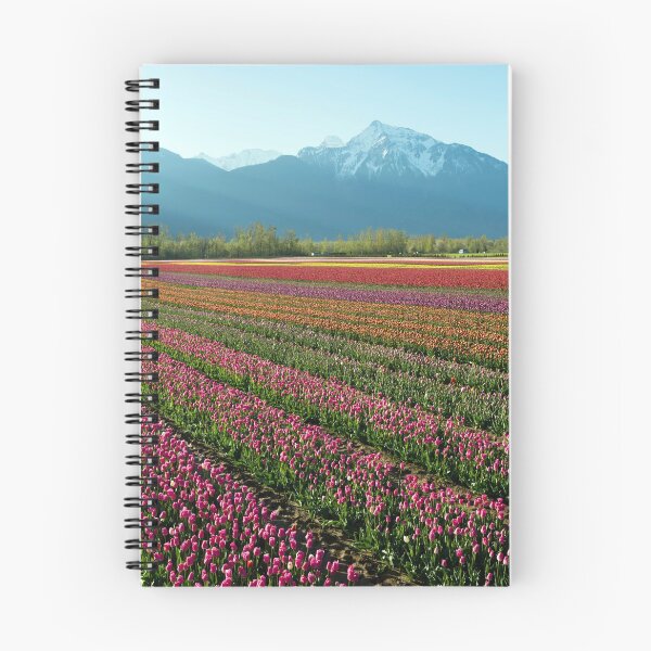 Item preview, Cultivated Tulip Field Fraser Valley British Columbia designed and sold by Kevin Miller Photography.