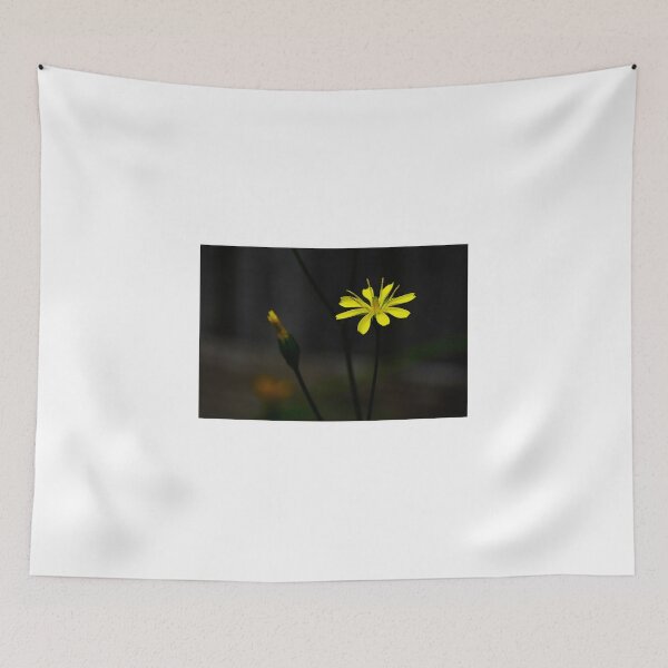 Item preview, Colour the Night designed and sold by KGibbs.