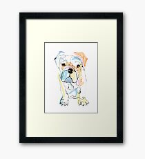 Bulldog Framed Print