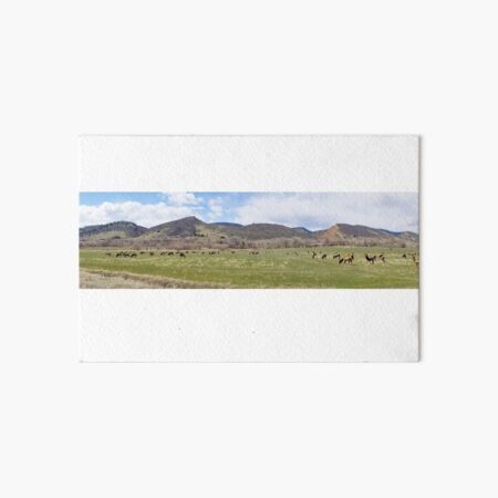 Front Range Elk Herd Lg Art Board Print