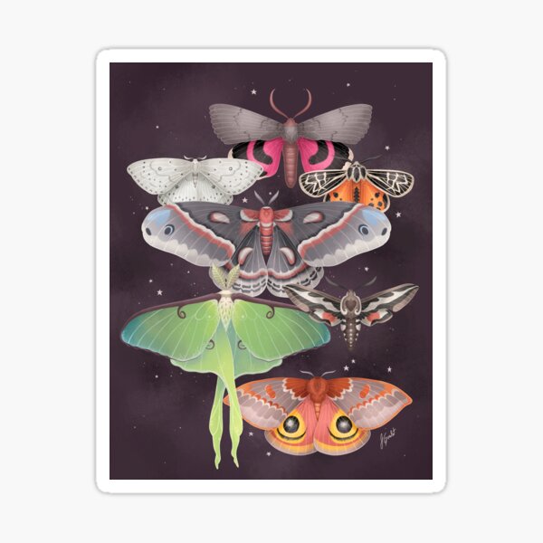 Magical Moths Sticker