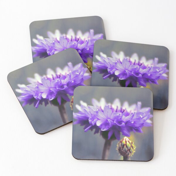 Item preview, Cornflower, Purple Violet Flower Photography, Nature designed and sold by Gulnaz Turdalieva.