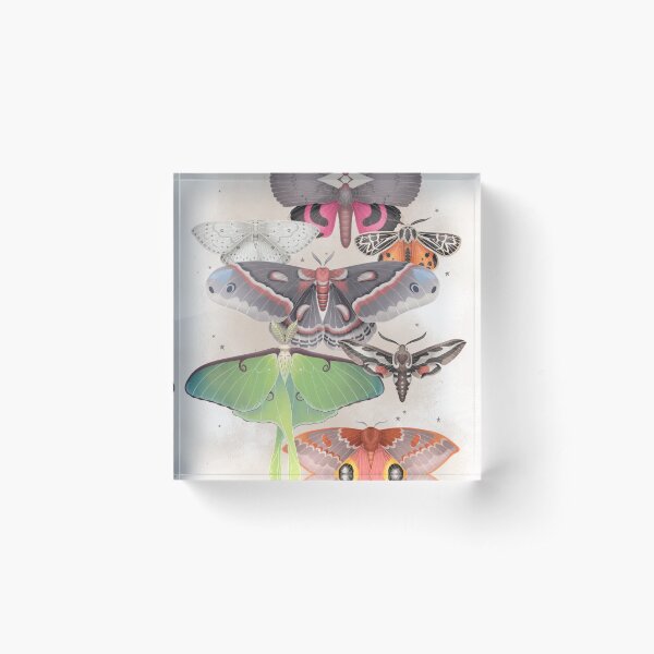 Magical Moths - Light version Acrylic Block