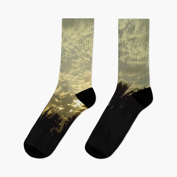Item preview, A beautiful sunset with palm and foggy sky designed and sold by faridman.