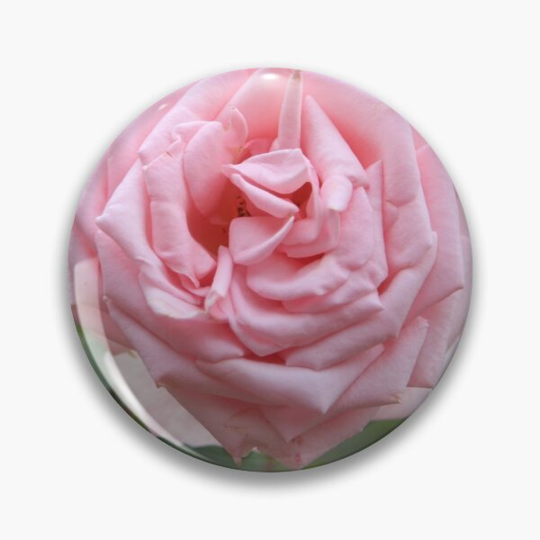 Item preview,  To take pictures of flowers designed and sold by Hannah Schmid.