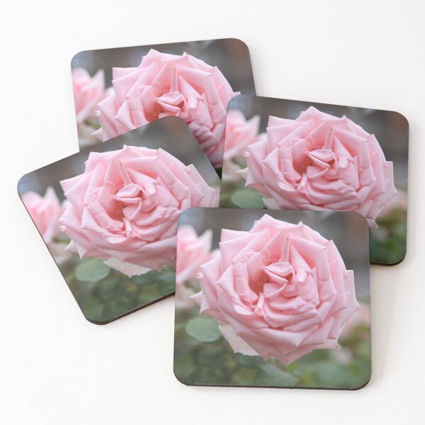 Item preview,  To take pictures of flowers designed and sold by Hannah Schmid.