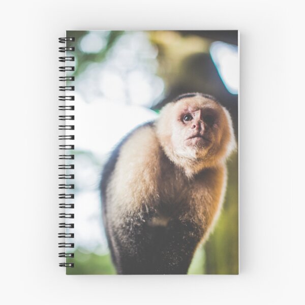 Item preview, White-Faced Capuchin Monkey designed and sold by Wanagi Zable-Andrews.