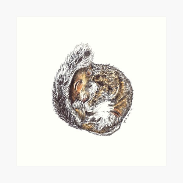 Item preview, Wren - Orphan Grey Squirrel - Sleeping designed and sold by Amber Westwood.