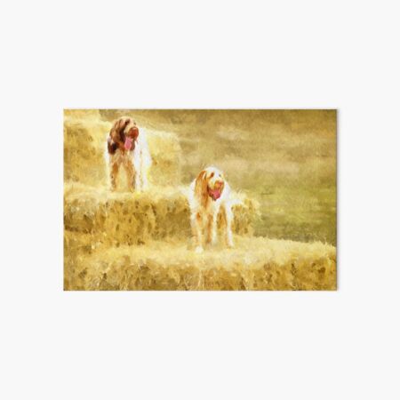 Straw bales Spinoni Art Board Print
