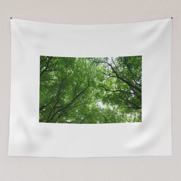 Item preview, Sun shining through the trees designed and sold by aliceconnolly16.