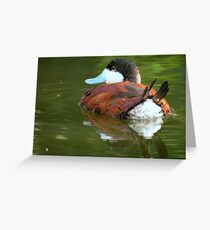 Ruddy Duck Reflections Greeting Card