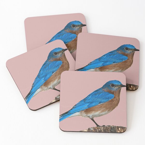 Item preview, beautiful sparrow, A beautiful bird designed and sold by amr4874.